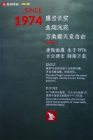 鹰牌陶瓷以国潮引领创新路，以多品类发展布局未来！