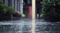 舟乘智木·不染潮时丨谁说躲不开梅雨烦恼，有他们，无惧潮湿！