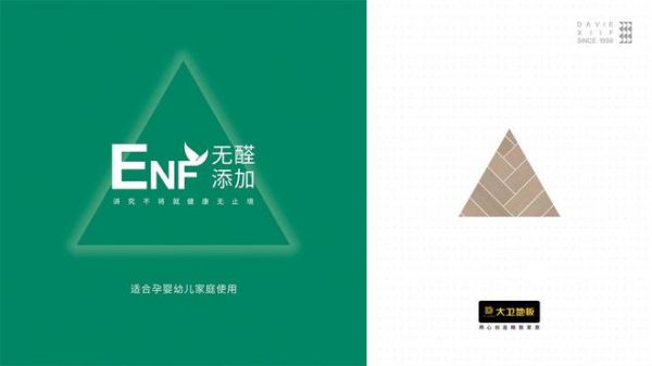大国品牌 | 大卫地板与行业共绘中国家居品牌强国梦