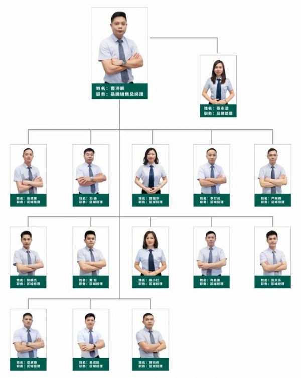 新品速递 |陶瓷一线品牌 齐圣腾飞陶瓷2025新品,质感美学新视界