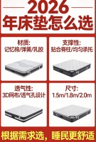 2026年十大棕垫床垫品牌推荐排行榜！