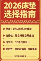 2026年十大销量高、品质好的棕垫床垫推荐品牌！