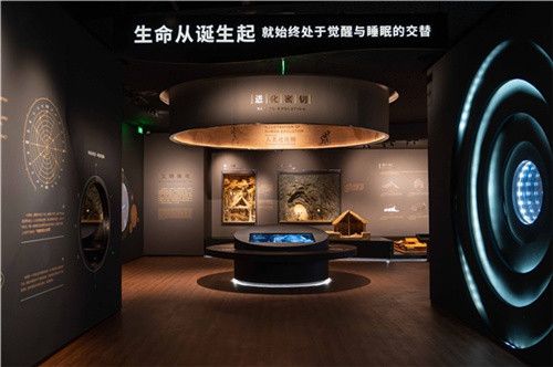 智慧睡眠闭合最后一环 慕思睡眠博物馆(筹)即将开幕