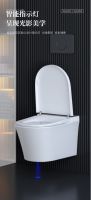 AQUATIZ AQ420隐藏式静音冲刷系统：带给您更安静、更高效的卫浴体验